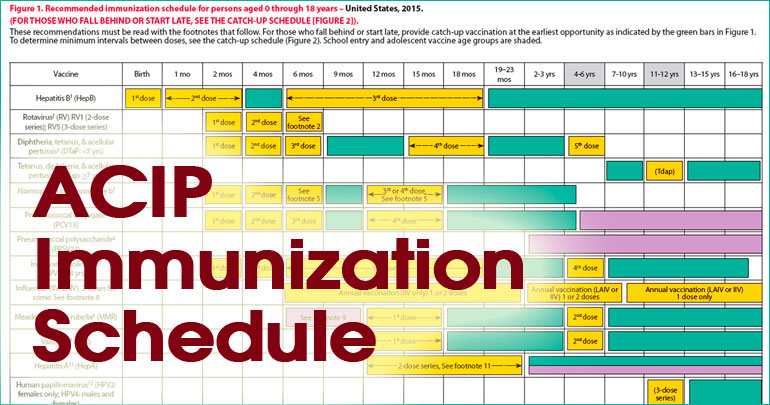 cdc immunization chart