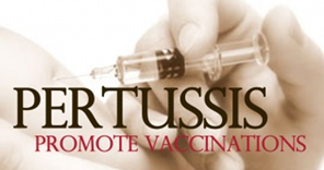 UNC Study Points to Efficacy of TDaP During Pregnancy pertussis-vaccine