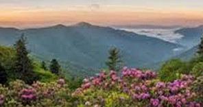 Announcements Point to Shifting Landscape of North Carolina Healthcare nc-landscape
