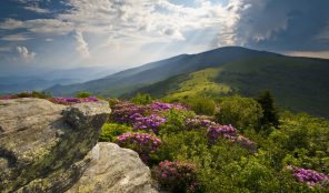 NCAFP Winter Meeting is Just Around the Corner – Register Today! Winter 2019 Image