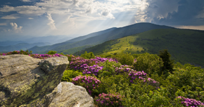 NCAFP Room Block Is Now Open for 2019 Winter Meeting blue-ridge-mountains