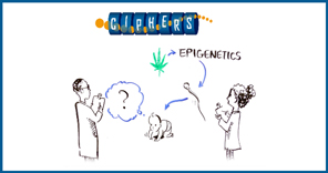 Duke’s CIPHERS Project Studying Epigenetic Sperm Changes in Male Cannabis Users ciphers